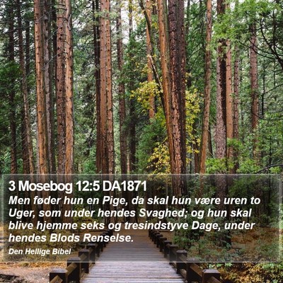 3 Mosebog 12:5 DA1871 Bible Verse Image