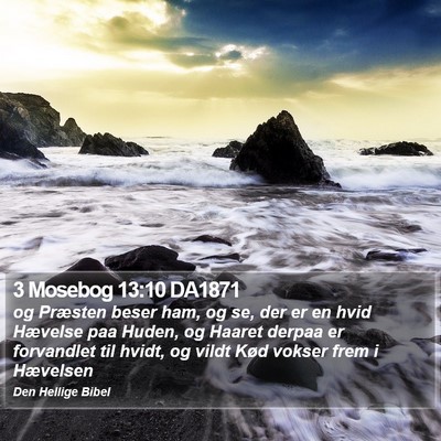 3 Mosebog 13:10 DA1871 Bible Verse Image