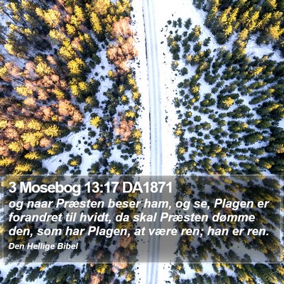 3 Mosebog 13:17 DA1871 Bible Verse Image