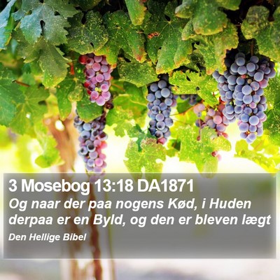 3 Mosebog 13:18 DA1871 Bible Verse Image