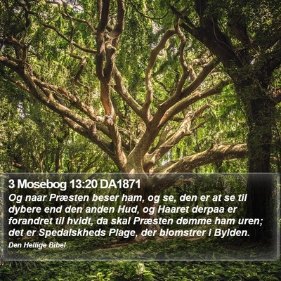 3 Mosebog 13:20 DA1871 Bible Verse Image