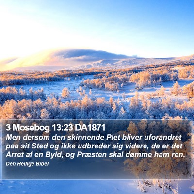 3 Mosebog 13:23 DA1871 Bible Verse Image