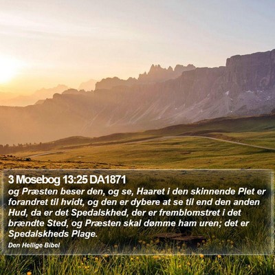 3 Mosebog 13:25 DA1871 Bible Verse Image