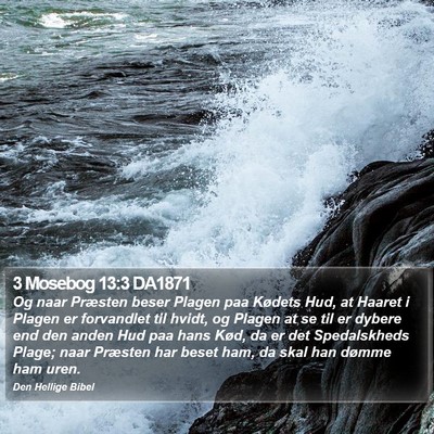 3 Mosebog 13:3 DA1871 Bible Verse Image