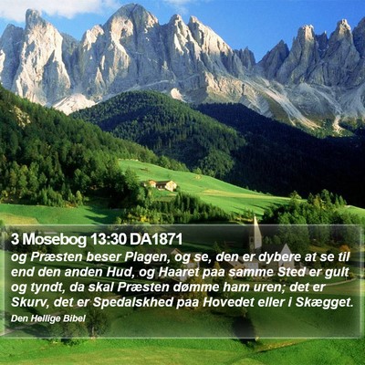 3 Mosebog 13:30 DA1871 Bible Verse Image