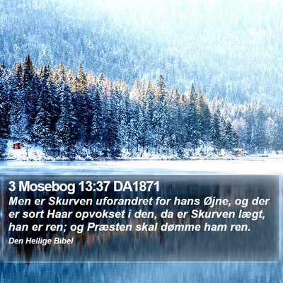 3 Mosebog 13:37 DA1871 Bible Verse Image