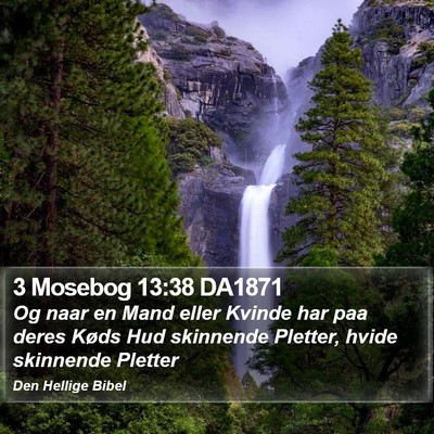 3 Mosebog 13:38 DA1871 Bible Verse Image