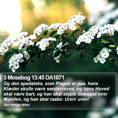 3 Mosebog 13:45 DA1871 Bible Verse Image