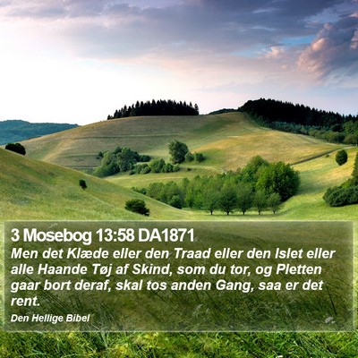 3 Mosebog 13:58 DA1871 Bible Verse Image