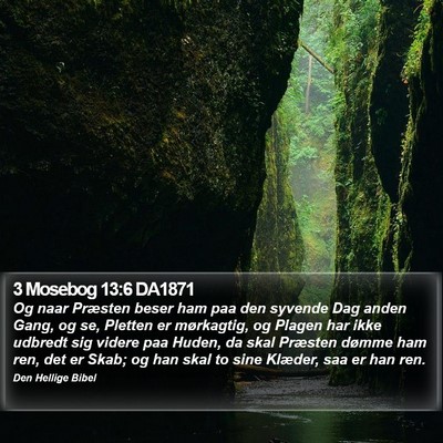 3 Mosebog 13:6 DA1871 Bible Verse Image