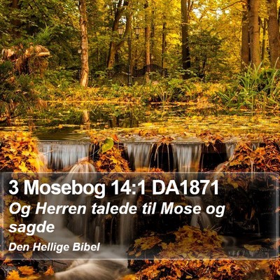 3 Mosebog 14:1 DA1871 Bible Verse Image