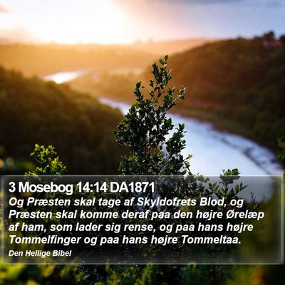 3 Mosebog 14:14 DA1871 Bible Verse Image