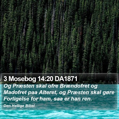 3 Mosebog 14:20 DA1871 Bible Verse Image