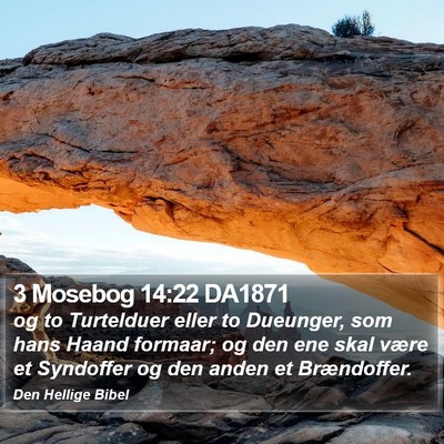 3 Mosebog 14:22 DA1871 Bible Verse Image