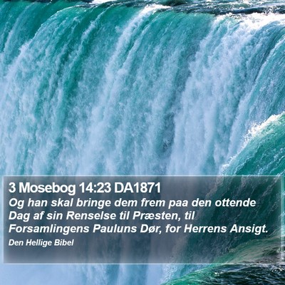 3 Mosebog 14:23 DA1871 Bible Verse Image