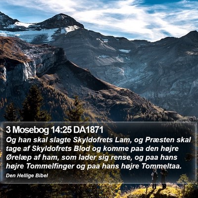 3 Mosebog 14:25 DA1871 Bible Verse Image