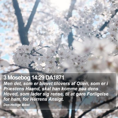 3 Mosebog 14:29 DA1871 Bible Verse Image