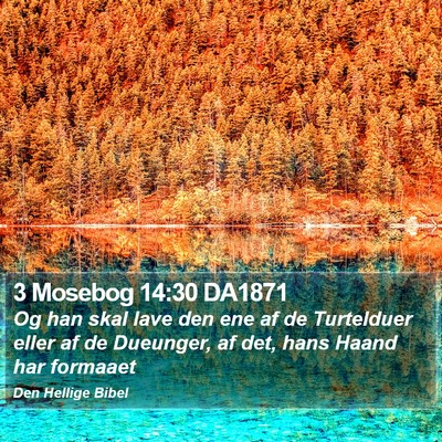 3 Mosebog 14:30 DA1871 Bible Verse Image