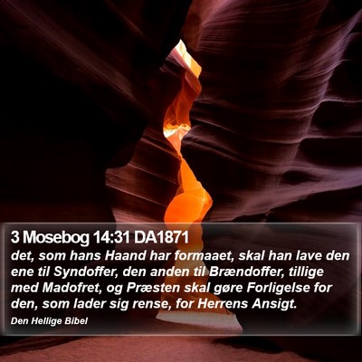 3 Mosebog 14:31 DA1871 Bible Verse Image