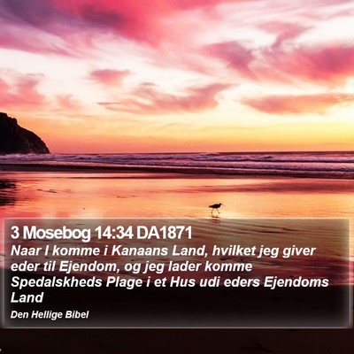 3 Mosebog 14:34 DA1871 Bible Verse Image
