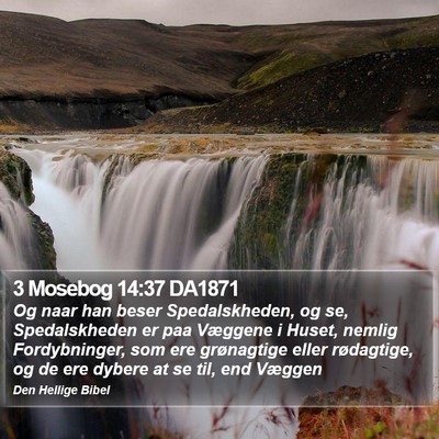 3 Mosebog 14:37 DA1871 Bible Verse Image