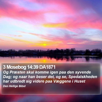 3 Mosebog 14:39 DA1871 Bible Verse Image