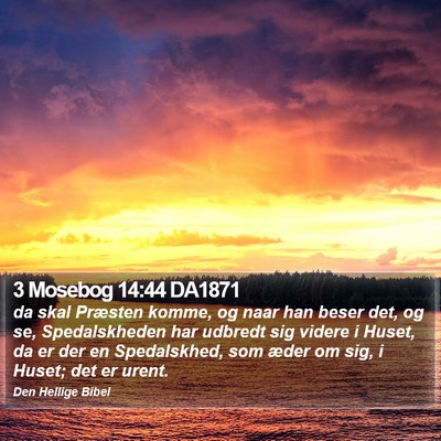 3 Mosebog 14:44 DA1871 Bible Verse Image