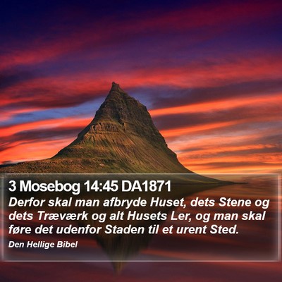 3 Mosebog 14:45 DA1871 Bible Verse Image