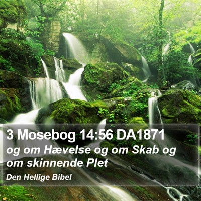 3 Mosebog 14:56 DA1871 Bible Verse Image
