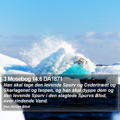 3 Mosebog 14:6 DA1871 Bible Verse Image