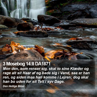 3 Mosebog 14:8 DA1871 Bible Verse Image