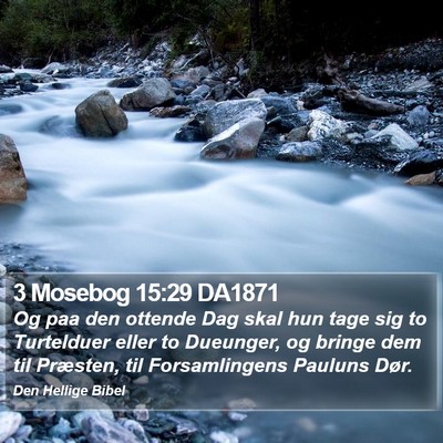 3 Mosebog 15:29 DA1871 Bible Verse Image