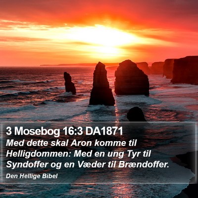 3 Mosebog 16:3 DA1871 Bible Verse Image