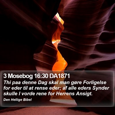 3 Mosebog 16:30 DA1871 Bible Verse Image