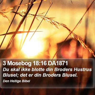 3 Mosebog 18:16 DA1871 Bible Verse Image