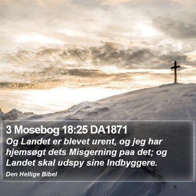 3 Mosebog 18:25 DA1871 Bible Verse Image