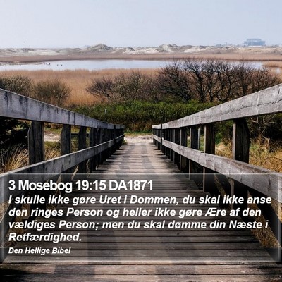 3 Mosebog 19:15 DA1871 Bible Verse Image