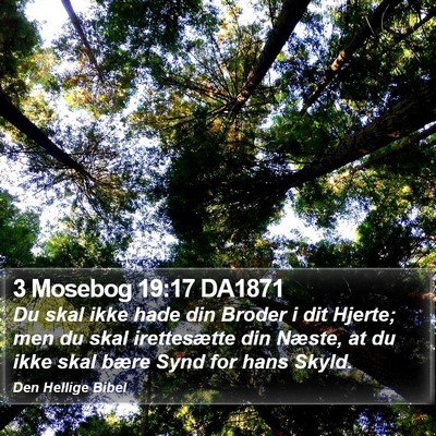 3 Mosebog 19:17 DA1871 Bible Verse Image
