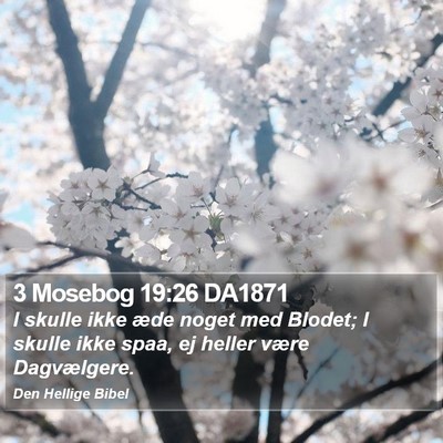 3 Mosebog 19:26 DA1871 Bible Verse Image