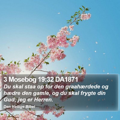3 Mosebog 19:32 DA1871 Bible Verse Image