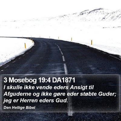3 Mosebog 19:4 DA1871 Bible Verse Image