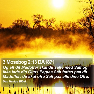 3 Mosebog 2:13 DA1871 Bible Verse Image