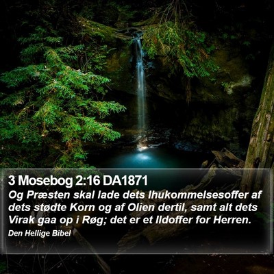 3 Mosebog 2:16 DA1871 Bible Verse Image