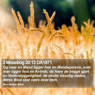 3 Mosebog 20:13 DA1871 Bible Verse Image