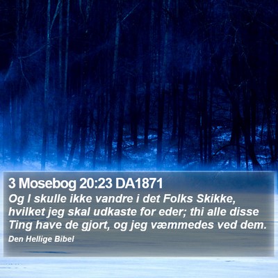 3 Mosebog 20:23 DA1871 Bible Verse Image
