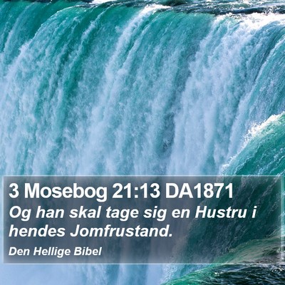 3 Mosebog 21:13 DA1871 Bible Verse Image