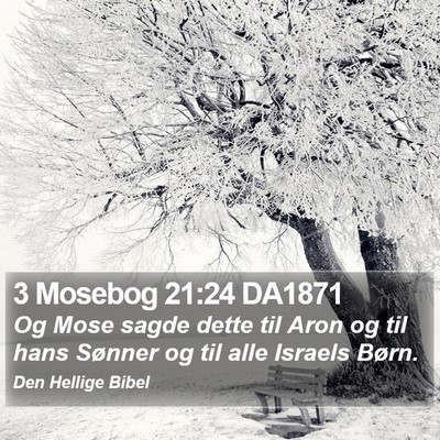 3 Mosebog 21:24 DA1871 Bible Verse Image