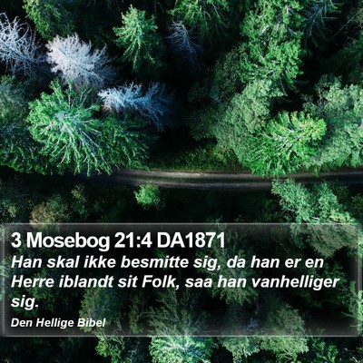3 Mosebog 21:4 DA1871 Bible Verse Image