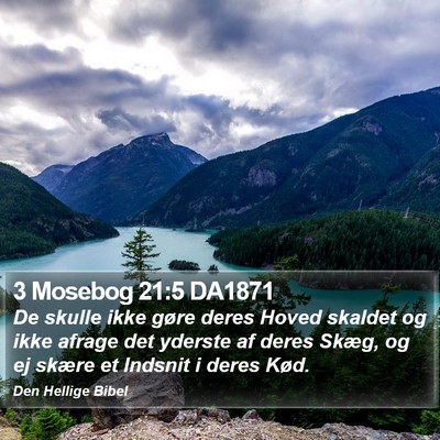 3 Mosebog 21:5 DA1871 Bible Verse Image