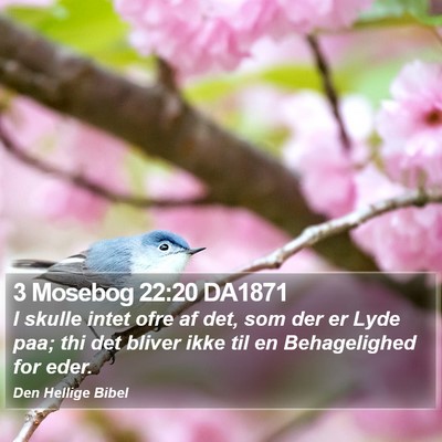 3 Mosebog 22:20 DA1871 Bible Verse Image
